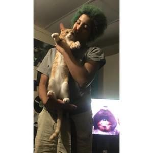 Meet your Posher, Dylan